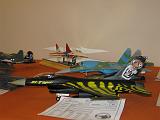 wp2009_30