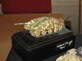 afv_71