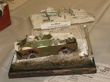 afv_81