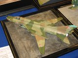 IMG_8702