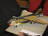 IMG_8723
