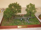 IMG_8771