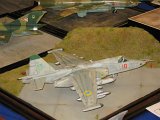 IMG_8783