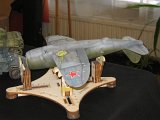 IMG_8788