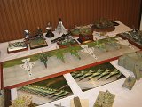 IMG_8524