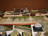 IMG_8760