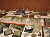 IMG_8947
