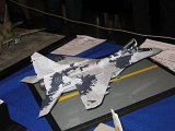 IMG_8893