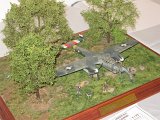 IMG_8906