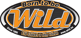 Web-fejleszts log