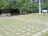 photo13_small.jpg