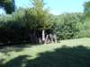photo14_small.jpg