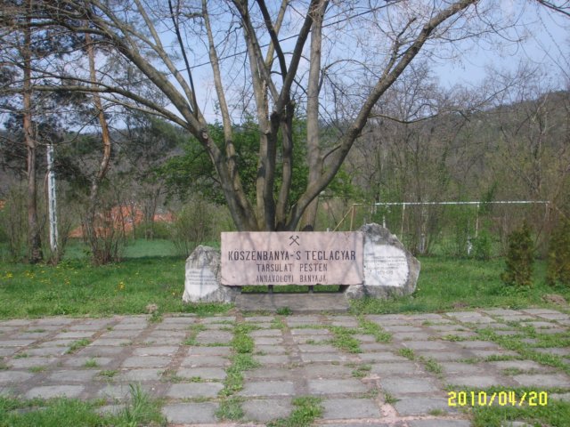 photo19.jpg