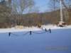 photo5_small.jpg