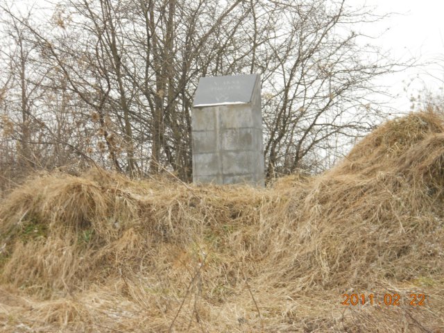photo6.jpg