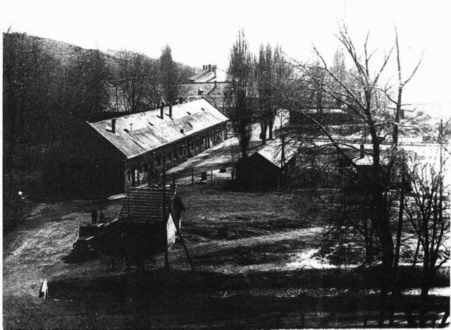 photo11.jpg