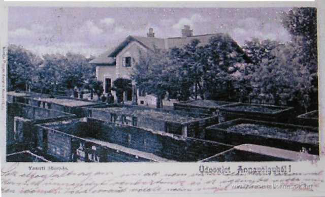 photo17.jpg