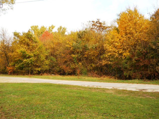 photo13.jpg