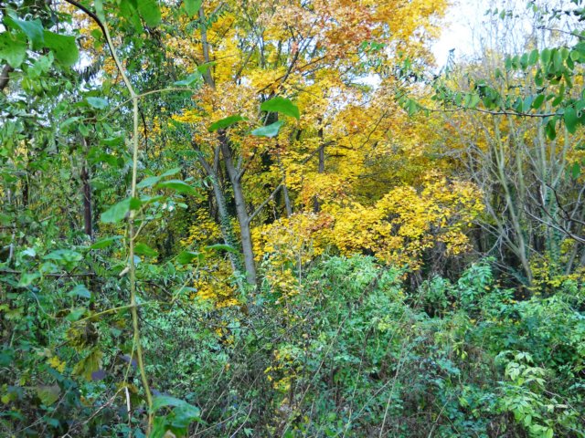 photo16.jpg