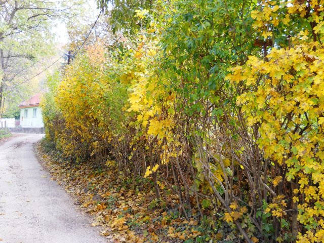 photo20.jpg