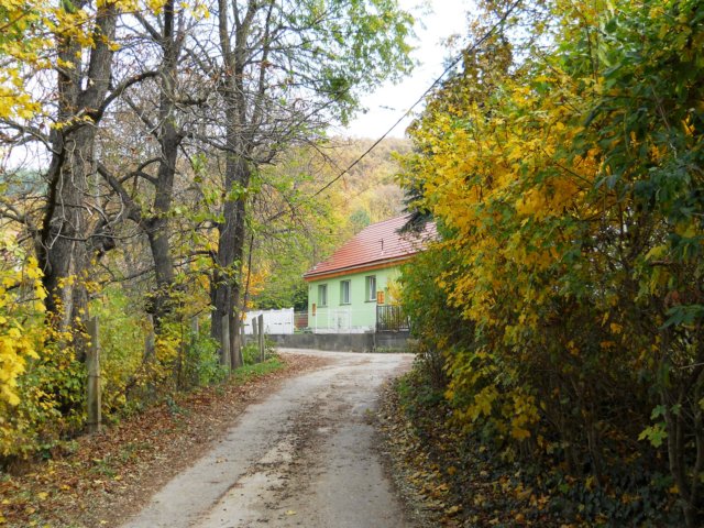 photo21.jpg
