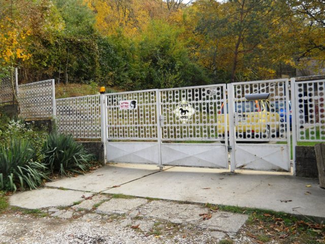 photo23.jpg