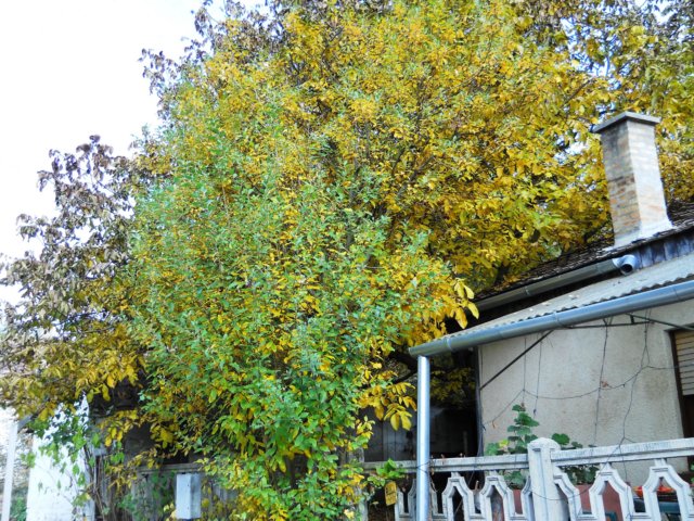 photo26.jpg