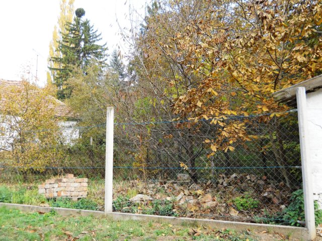 photo27.jpg