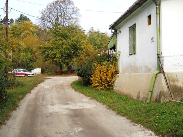 photo30.jpg