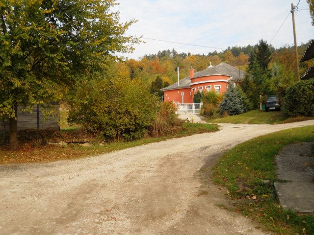 photo32.jpg