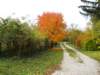 photo33_small.jpg