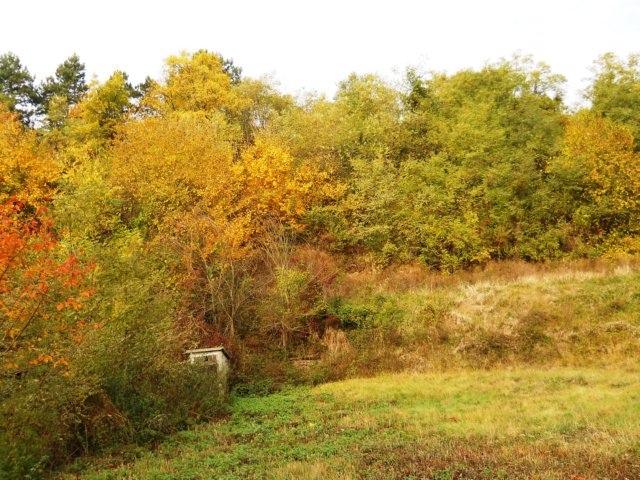 photo35.jpg