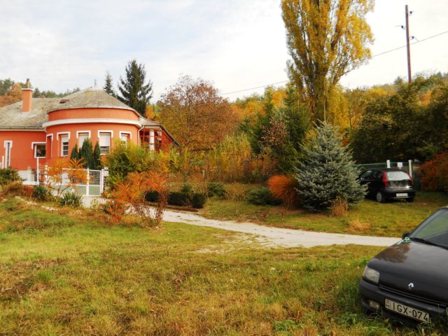 photo37.jpg