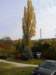 photo38_small.jpg