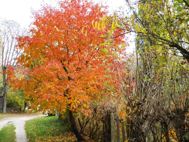 photo42.jpg