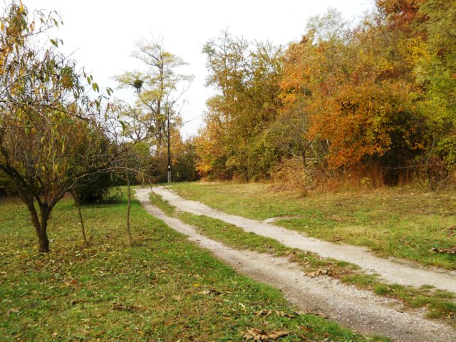 photo45.jpg