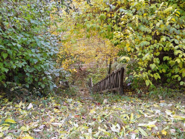 photo47.jpg
