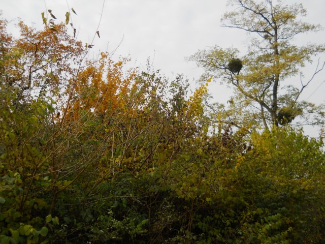 photo48.jpg