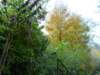 photo50_small.jpg