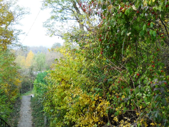 photo51.jpg