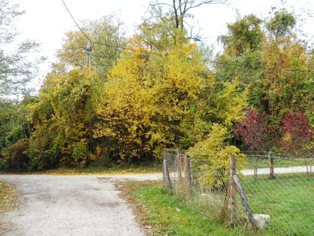 photo59.jpg
