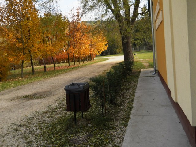 photo6.jpg
