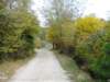 photo63_small.jpg