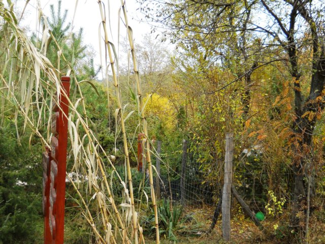 photo64.jpg