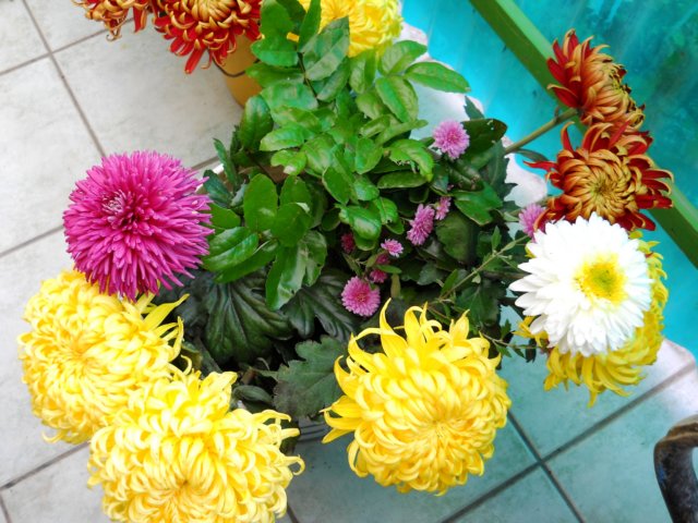 photo72.jpg