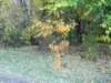 photo9_small.jpg