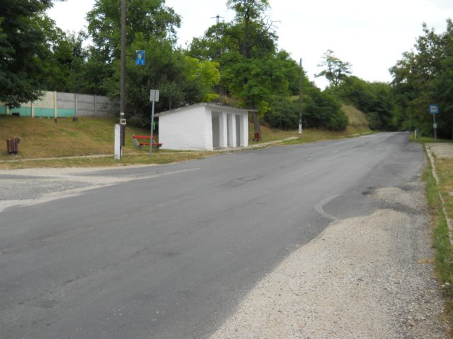 photo100.jpg