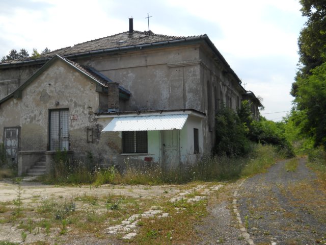 photo107.jpg