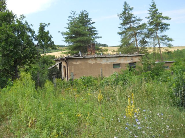 photo110.jpg