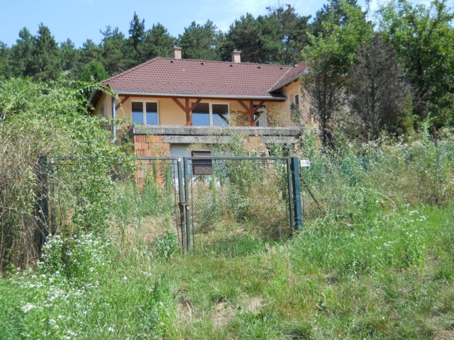 photo116.jpg